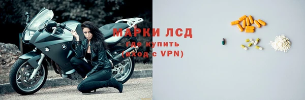 стафф Алзамай