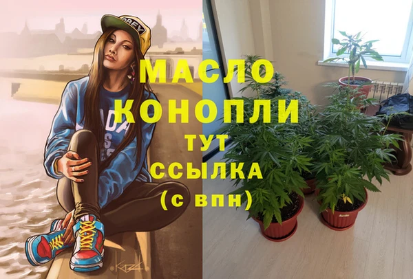 СК Алексин