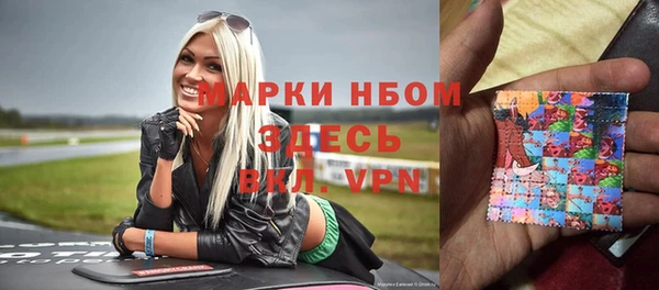 стафф Алзамай