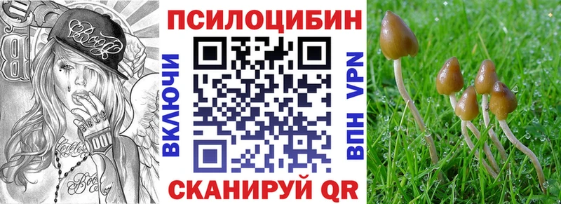 Галлюциногенные грибы GOLDEN TEACHER  Волоколамск 